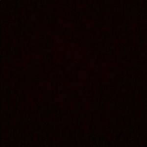 Meet your Posher, Bobby